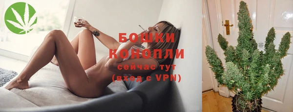 гидра Арсеньев