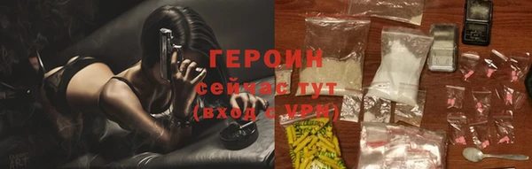 гидра Арсеньев