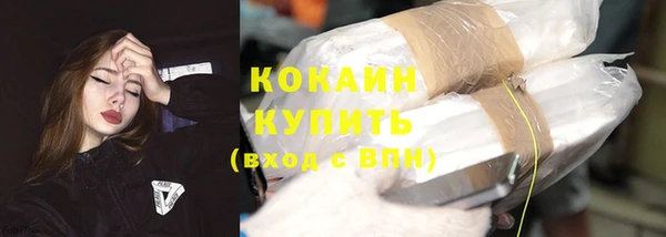 гидра Арсеньев