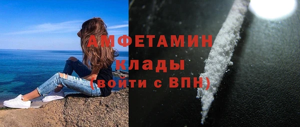 гидра Арсеньев