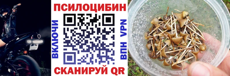 где найти   Пенза  KRAKEN ТОР  Галлюциногенные грибы ЛСД 