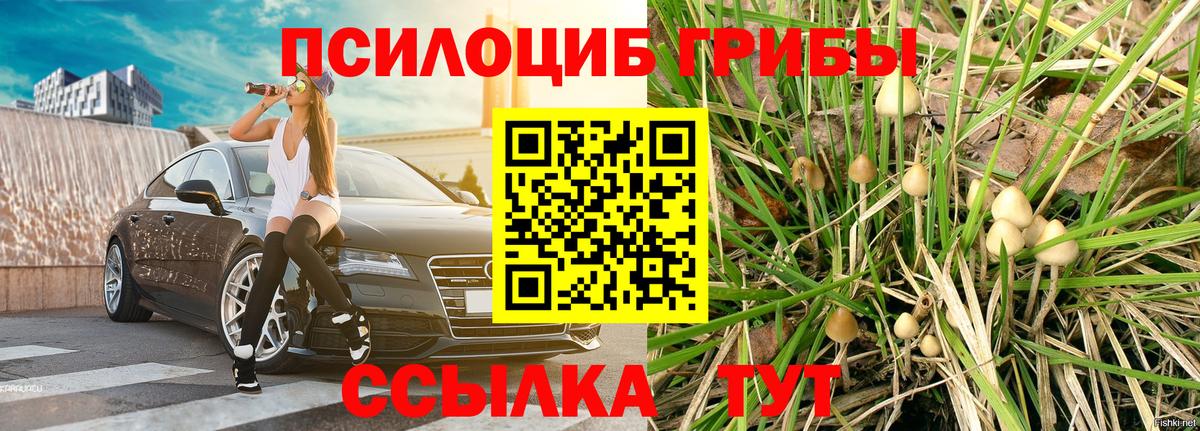 Пенза  Галлюциногенные грибы GOLDEN TEACHER  Вход с VPN 